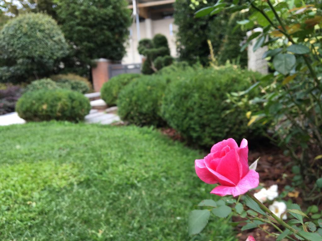 مبيت وإفطار Rosa Del Grappa المظهر الخارجي الصورة